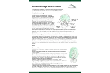 Pflanzenanleitung für Hochstämme