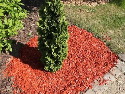 Mulch - Einsatz im Garten