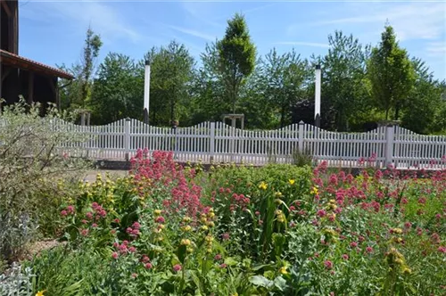 Staudenmischung - Tanz der Gräßer 15 m²