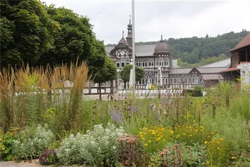 Staudenmischung - Tanz der Gräßer 15 m²