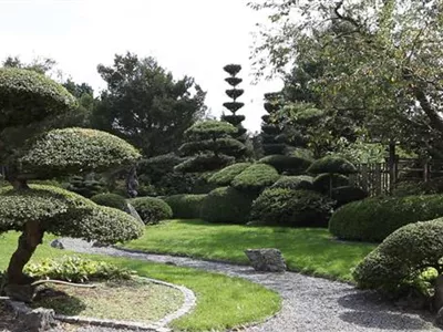 Gartengestaltung - Japangarten