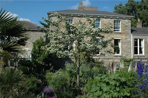 Eingriffeliger Weißdorn - Crataegus monogyna