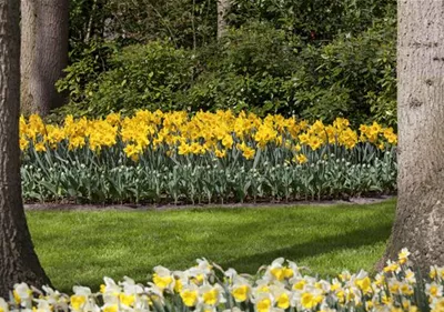 Das richtige Blumenbeet für den eigenen Garten