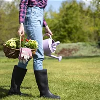 Das Staudenbeet im Frühling pflegen