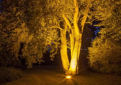 Weihnachts-Lichter-Gärten