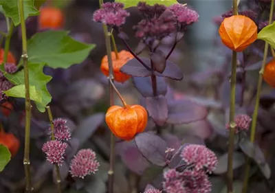 Schaurig schöne Tischgirlande aus Physalis