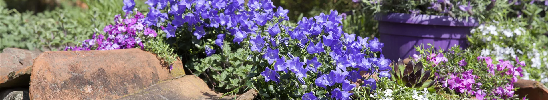 Gartenarbeiten im Mai