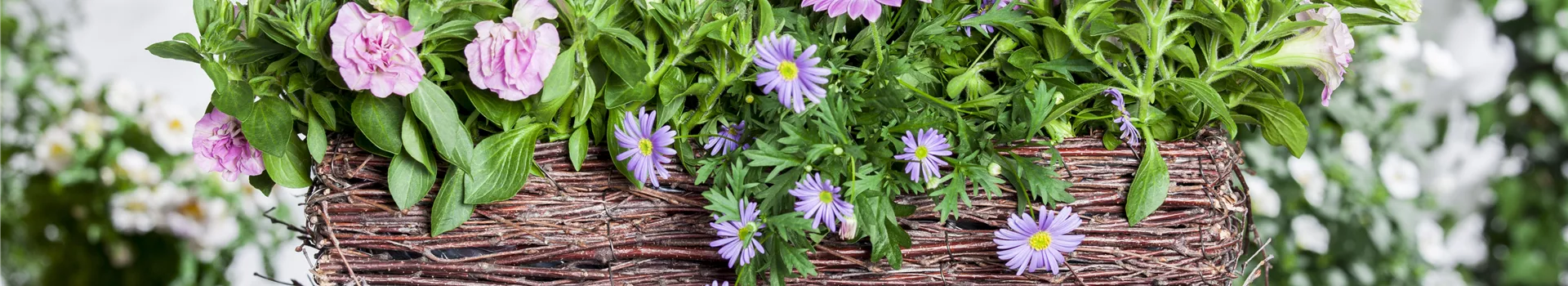 Frühling, Sommer, Herbst, Winter: der Balkon ist immer ein schöner Anblick