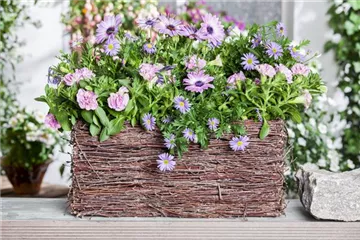 Frühling, Sommer, Herbst, Winter: der Balkon ist immer ein schöner Anblick