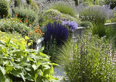 Das Staudenbeet – ein Blütenmeer im Garten