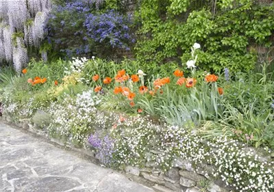 Auf dem Weg zum eigenen Staudengarten – So einfach geht’s!