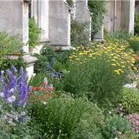 Mit dem Staudengarten starten