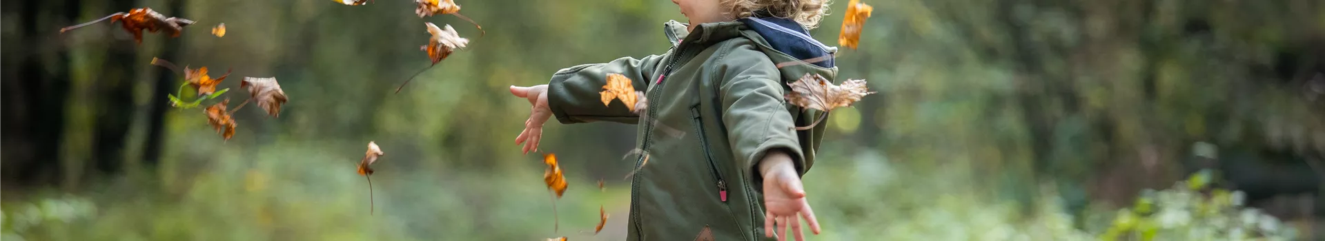 Äußerst wertvoll und vielseitig verwendbar – Laub im Garten