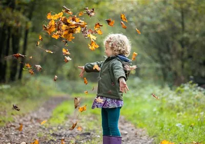 Äußerst wertvoll und vielseitig verwendbar – Laub im Garten