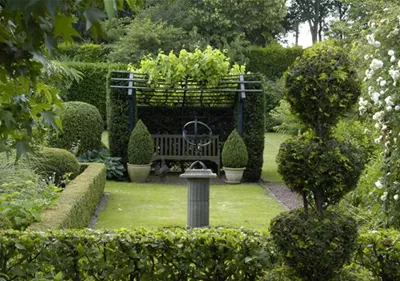 Formgehölze im Garten – So bleibt alles top in Form