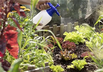 Mit dem richtigen Dünger bleiben Pflanzen im Garten auf Zack