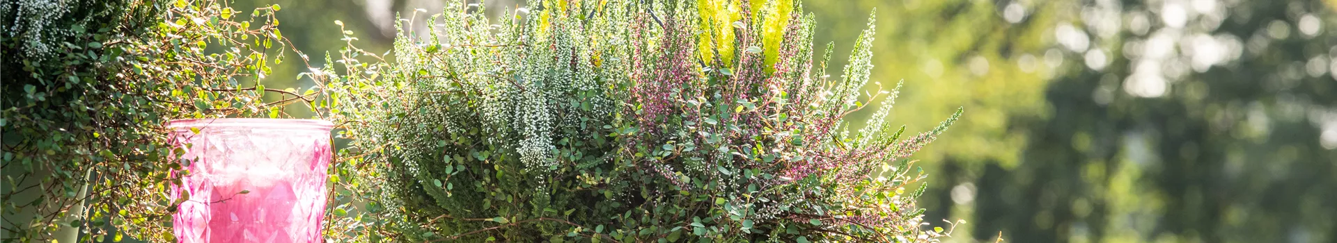 Pflanzgefäße für die Terrasse bringen die Pflanzen groß raus