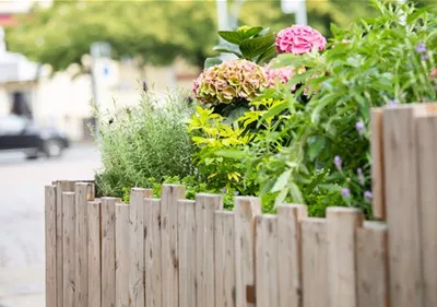 Ziergehölze im Garten setzen Akzente und verleihen Struktur