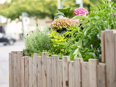 Ziergehölze im Garten setzen Akzente und verleihen Struktur