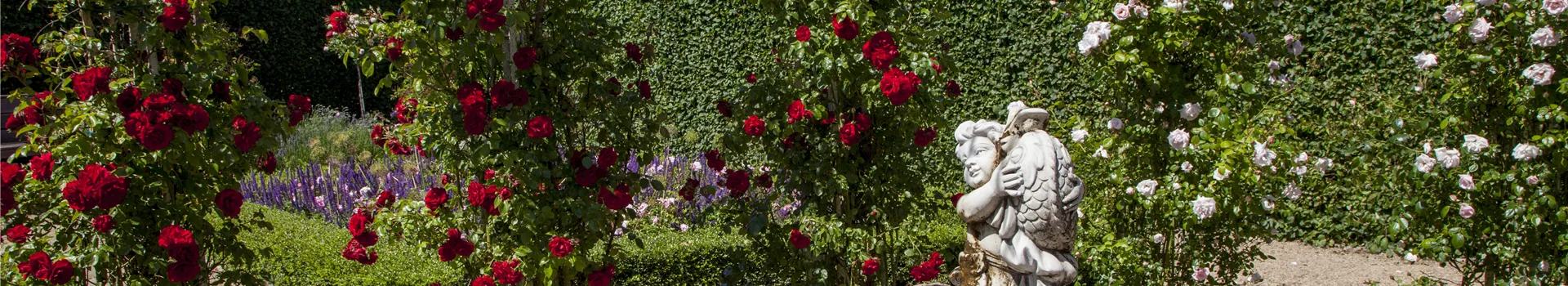 Der Barockgarten: royales Flair im eigenen Garten