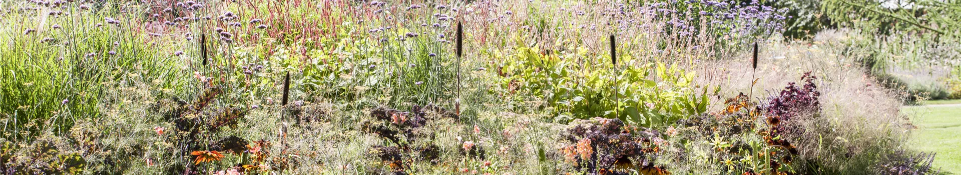 Senkgarten – Geschütztes Plätzchen