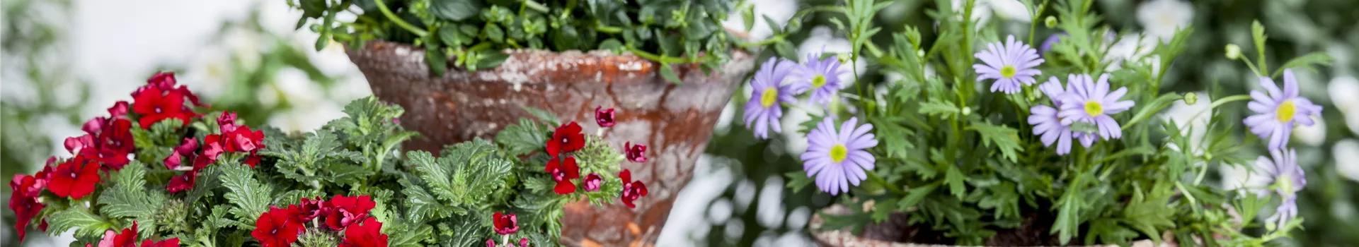 Der ganz große Stil im Garten - eine Anleitung für Menschen mit Liebe zu Effekten