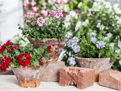 Der ganz große Stil im Garten - eine Anleitung für Menschen mit Liebe zu Effekten