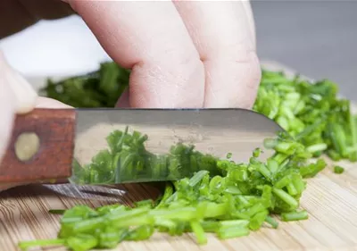 Kochen mit Kräutern aus dem Garten