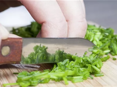 Kochen mit Kräutern aus dem Garten