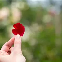 Wellness für Körper und Seele