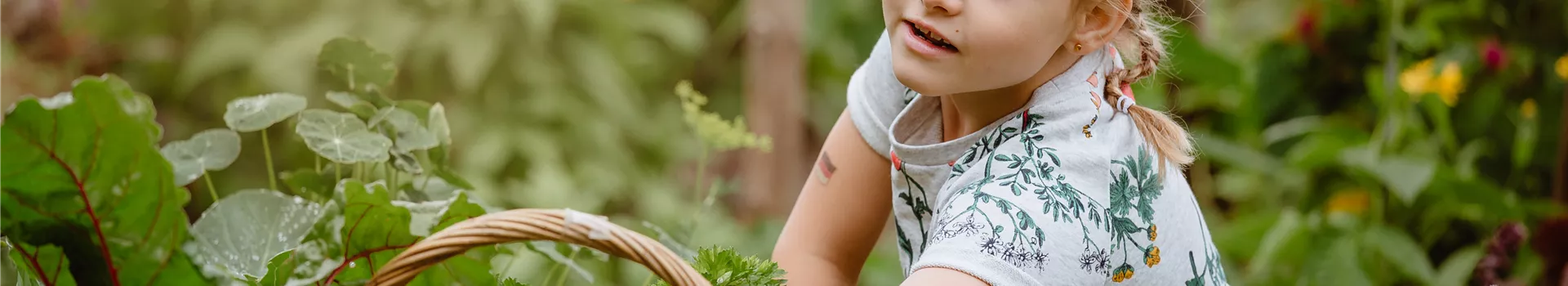 Jetzt kann geerntet werden! Kinder spielerisch einbeziehen