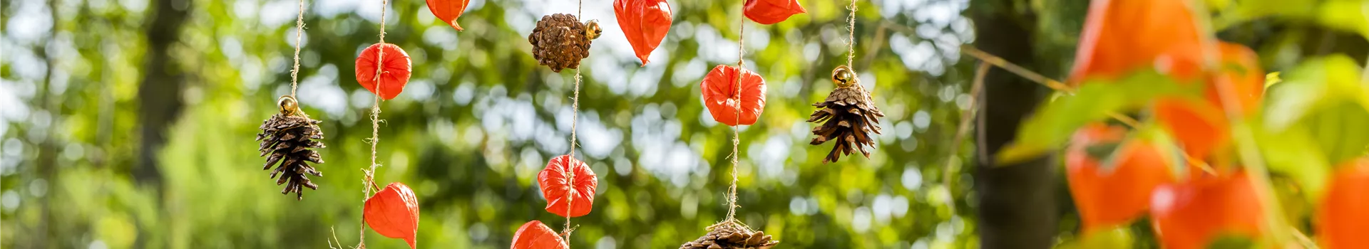 Ein herbstliches Windspiel aus Physalis und Tannenzapfen