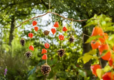 Ein herbstliches Windspiel aus Physalis und Tannenzapfen